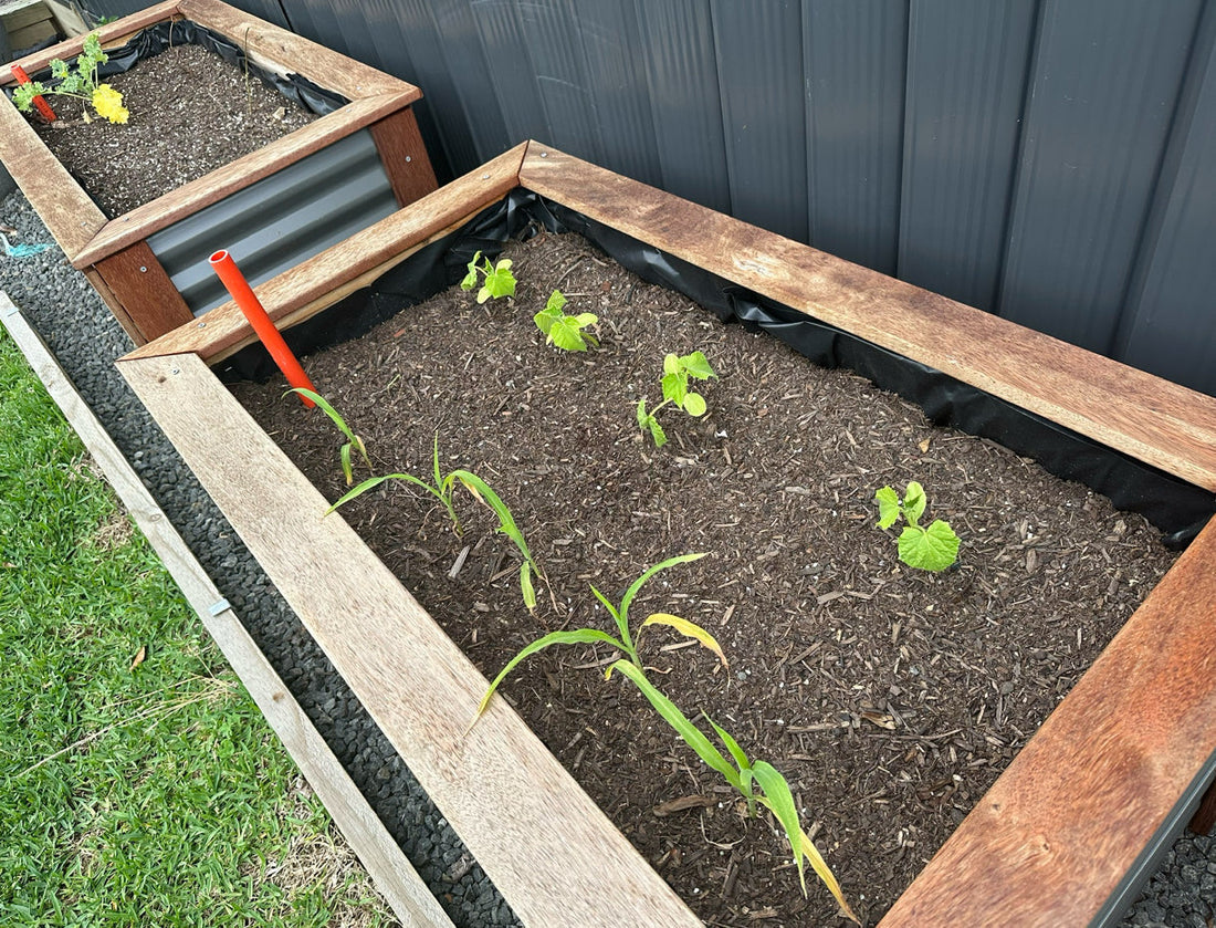 Spring Cleaning & Making Room for Christmas Magic